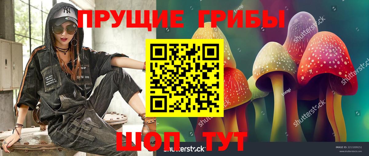 Псилоцибиновые грибы прущие грибы  Вход с VPN  купить  цена  Свободный 
